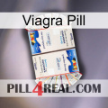 Viagra Pill kamagra1